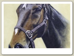Horse, watercolour